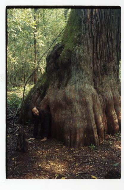 Mama Cypress 2